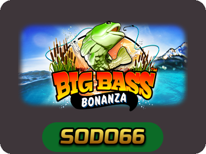 Big Bass Bonanza