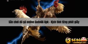 Sân chơi đá gà online sodo66 apk